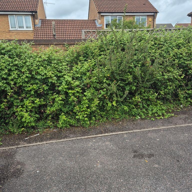 Fencing Company Milton Keynes 06 Xlarge