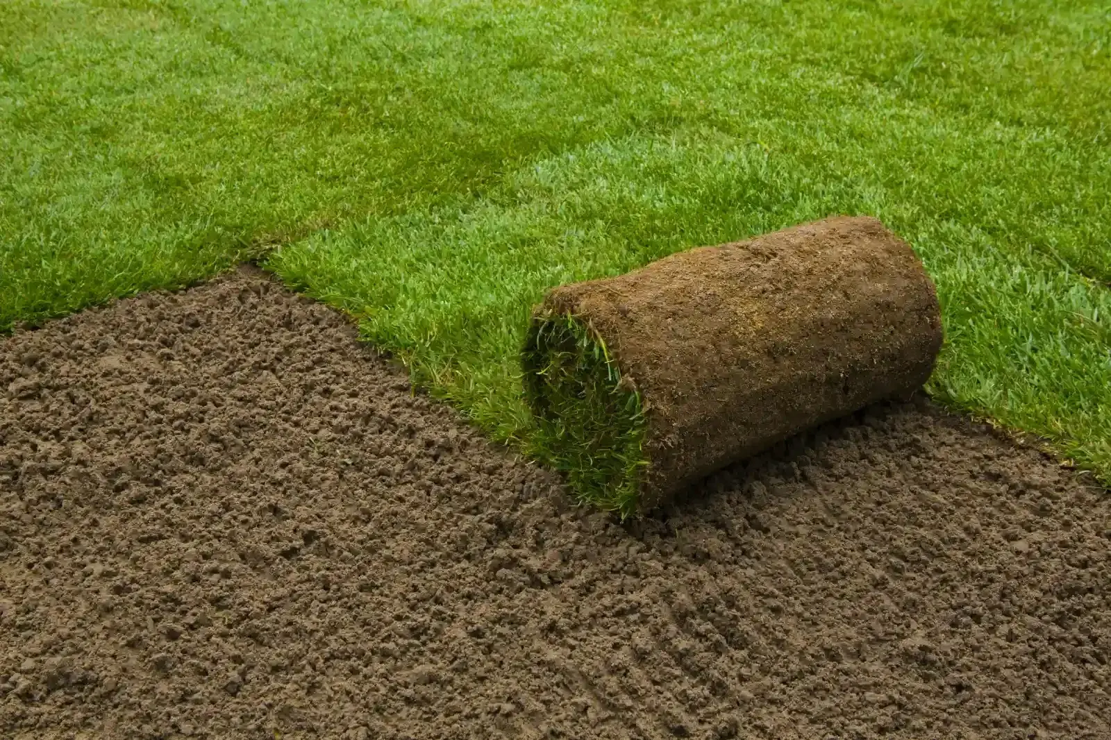 Artificial Lawn Installers In Leatherhead