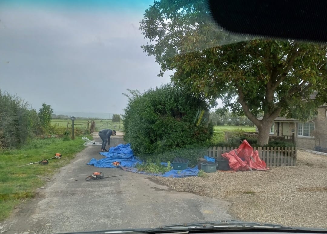 tree-surgeon-glastonbury-11-small