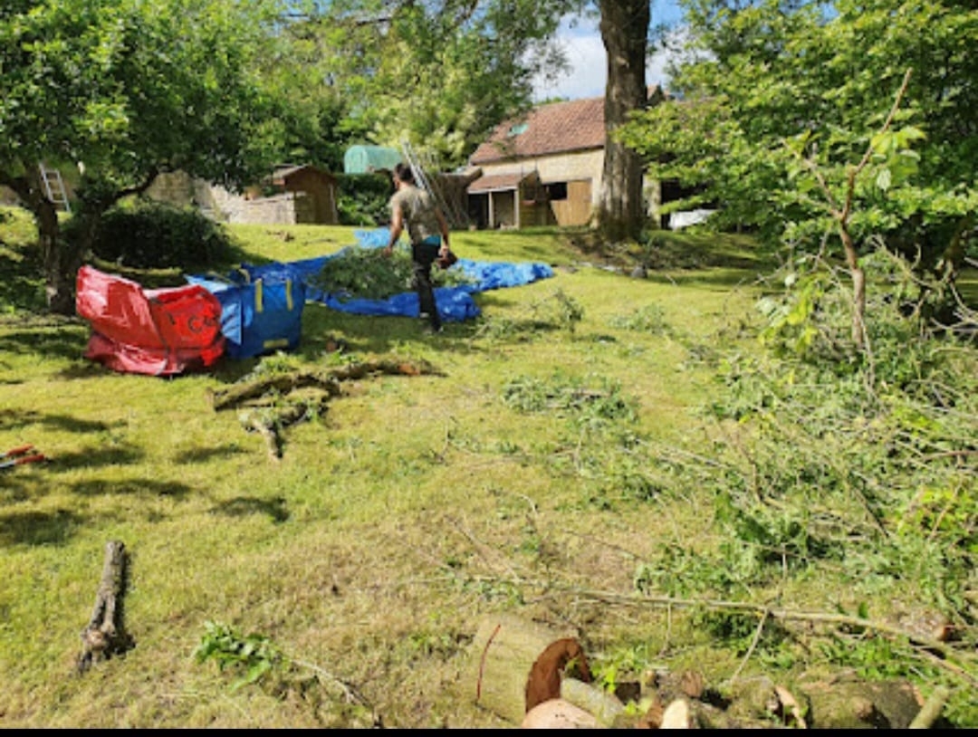 tree-surgeon-glastonbury-21-small