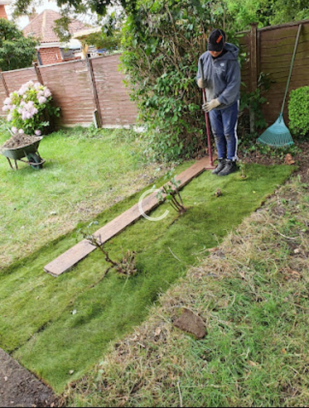 tree-surgeon-glastonbury-27-small