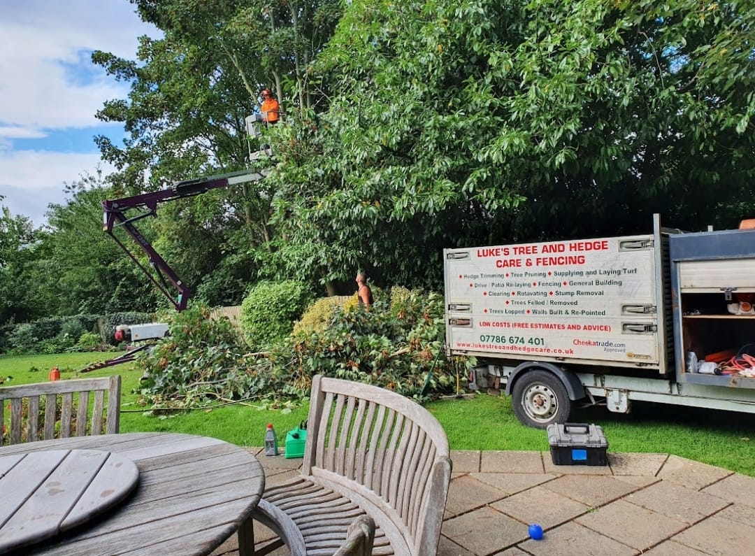 tree-surgeon-glastonbury-44-small