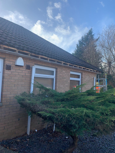 Roofer Bedford Charlies Angels Conservatory Roof Specialists 73 Medium