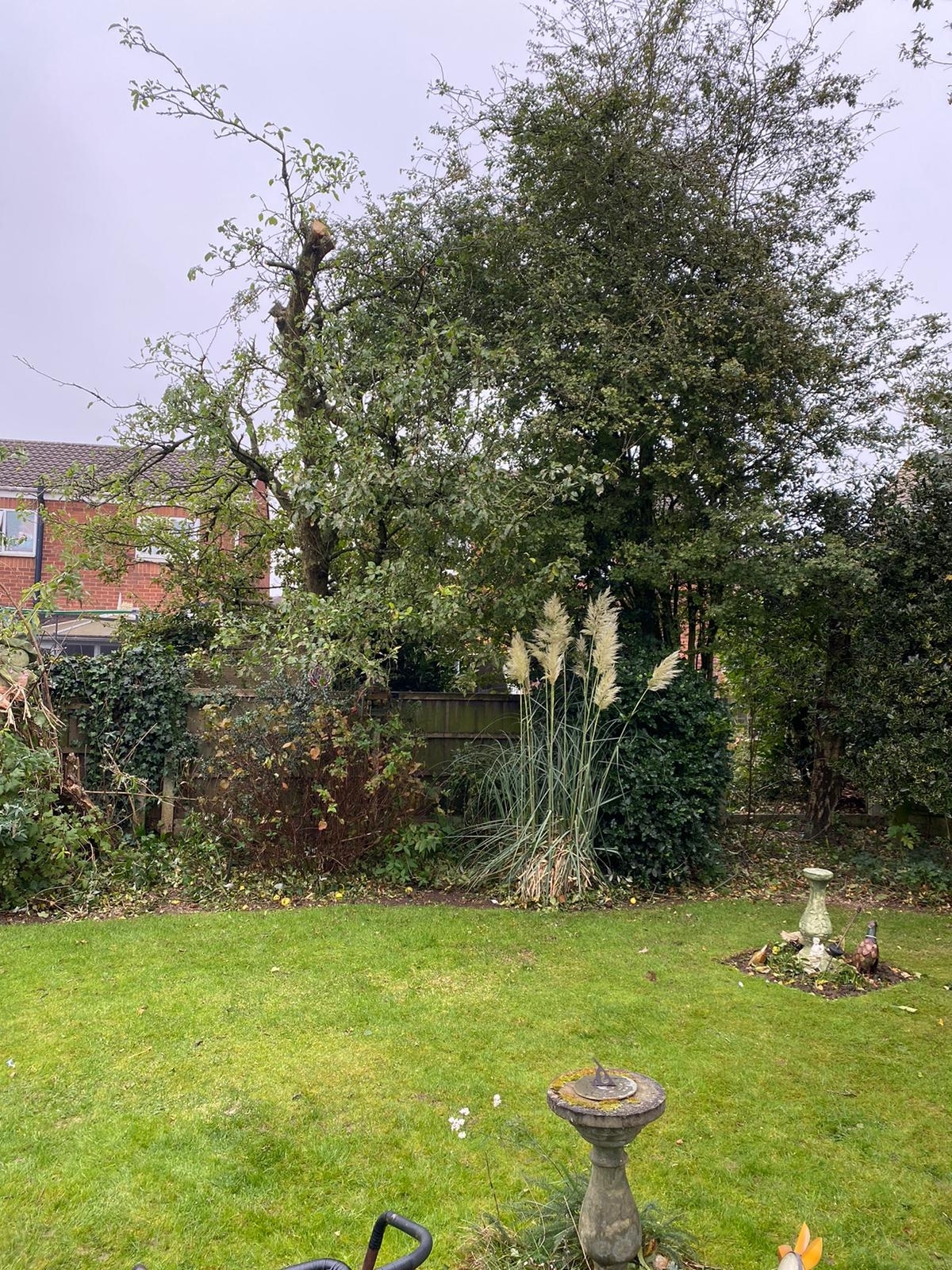 tree-surgeon-chesterfield-1-small