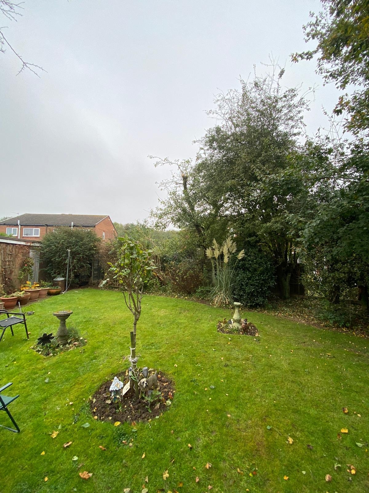 tree-surgeon-chesterfield-2-small