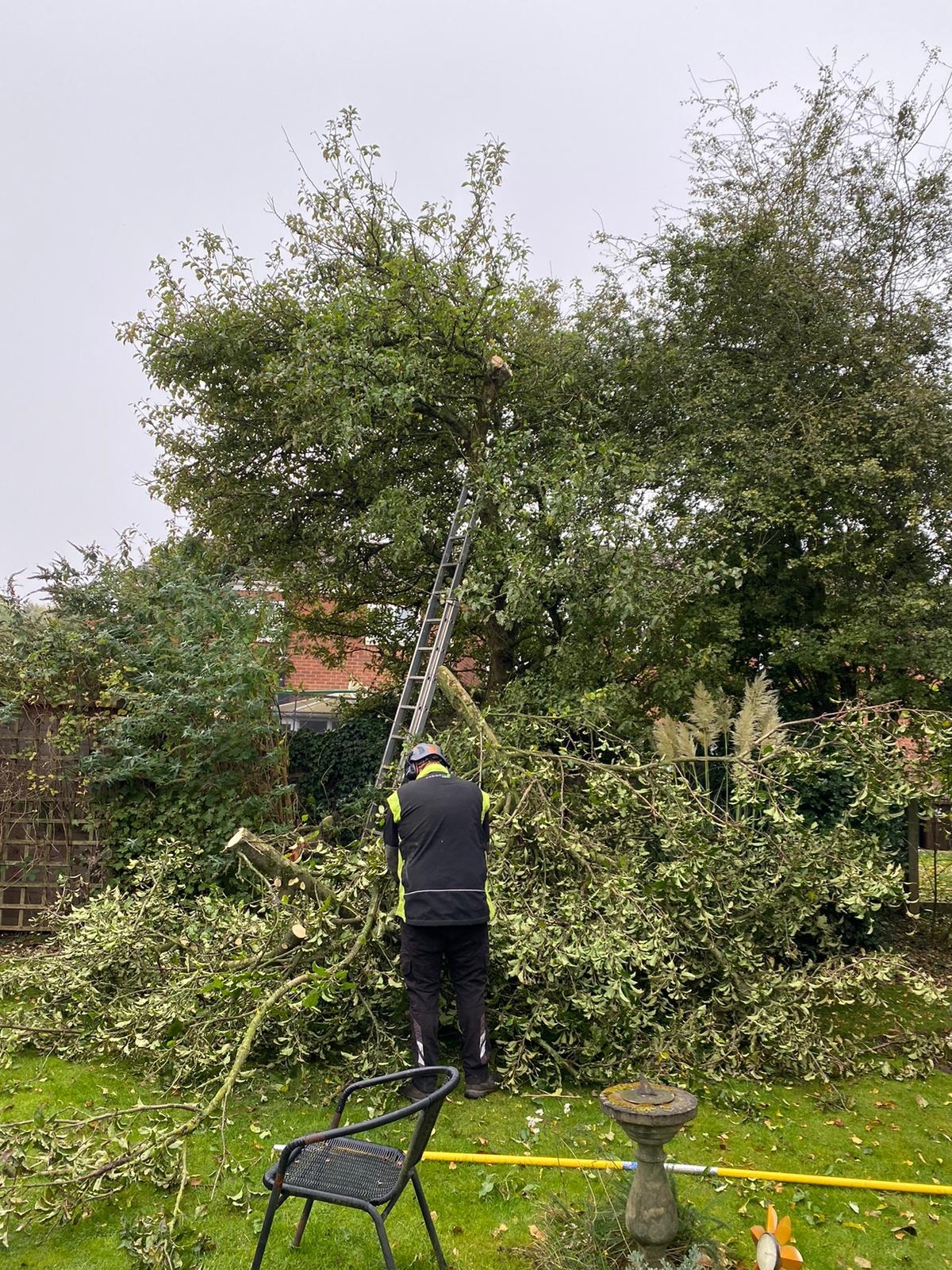 tree-surgeon-chesterfield-3-small