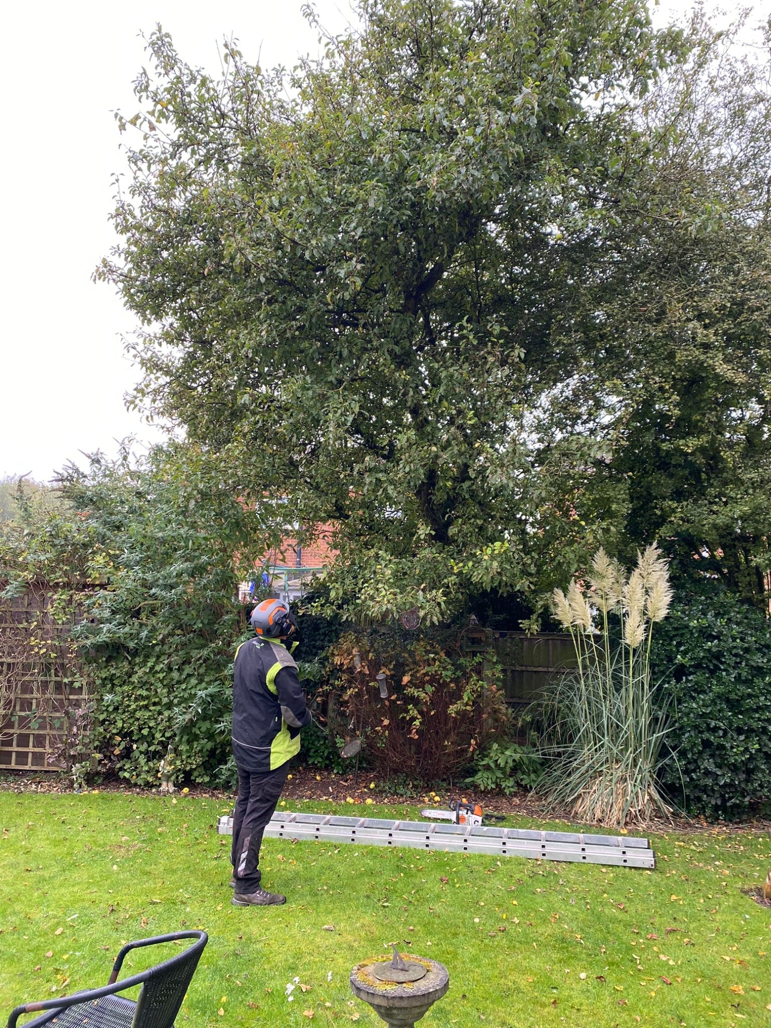 tree-surgeon-chesterfield-4-small