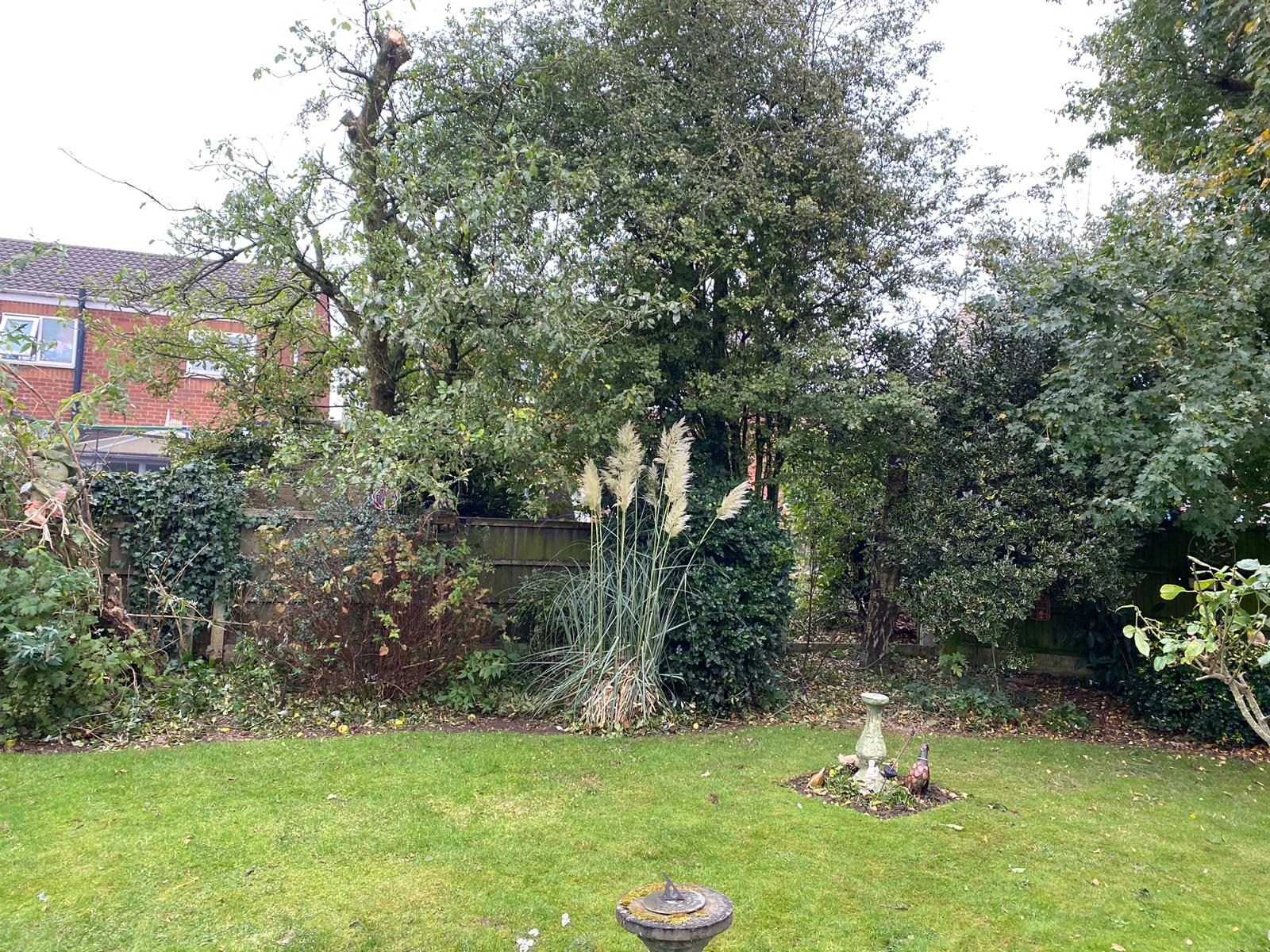 tree-surgeon-chesterfield-6-small