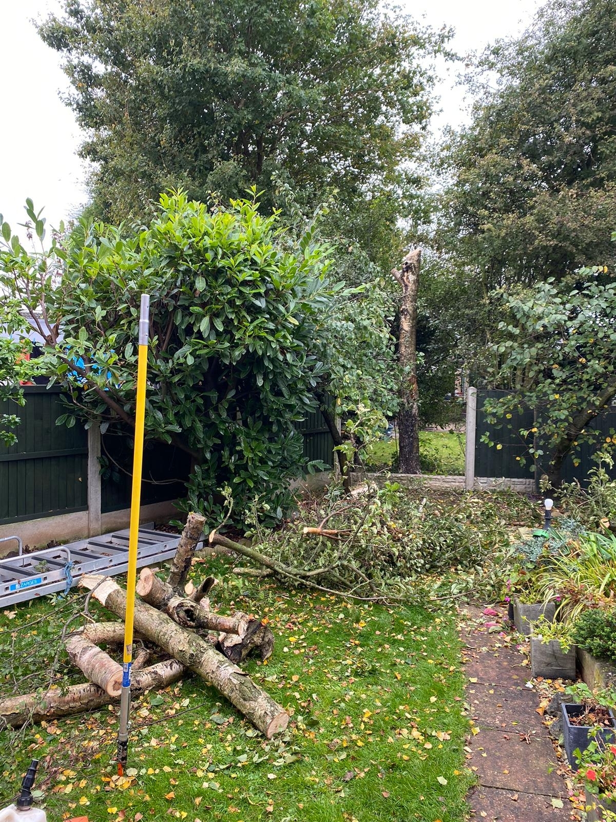 tree-surgeon-rotherham-1-1-4-small