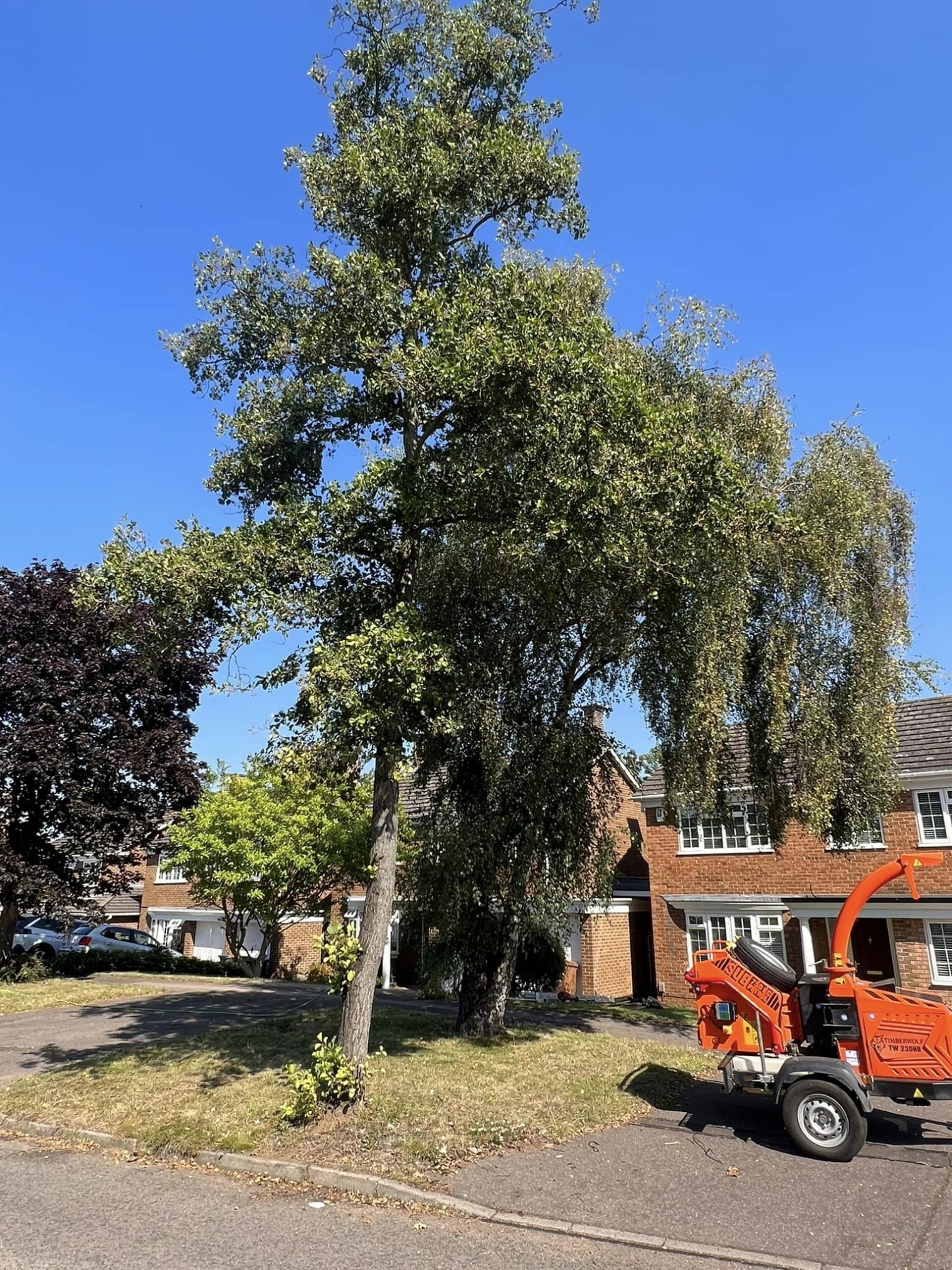 tree-surgeon-wellingborough-03-small