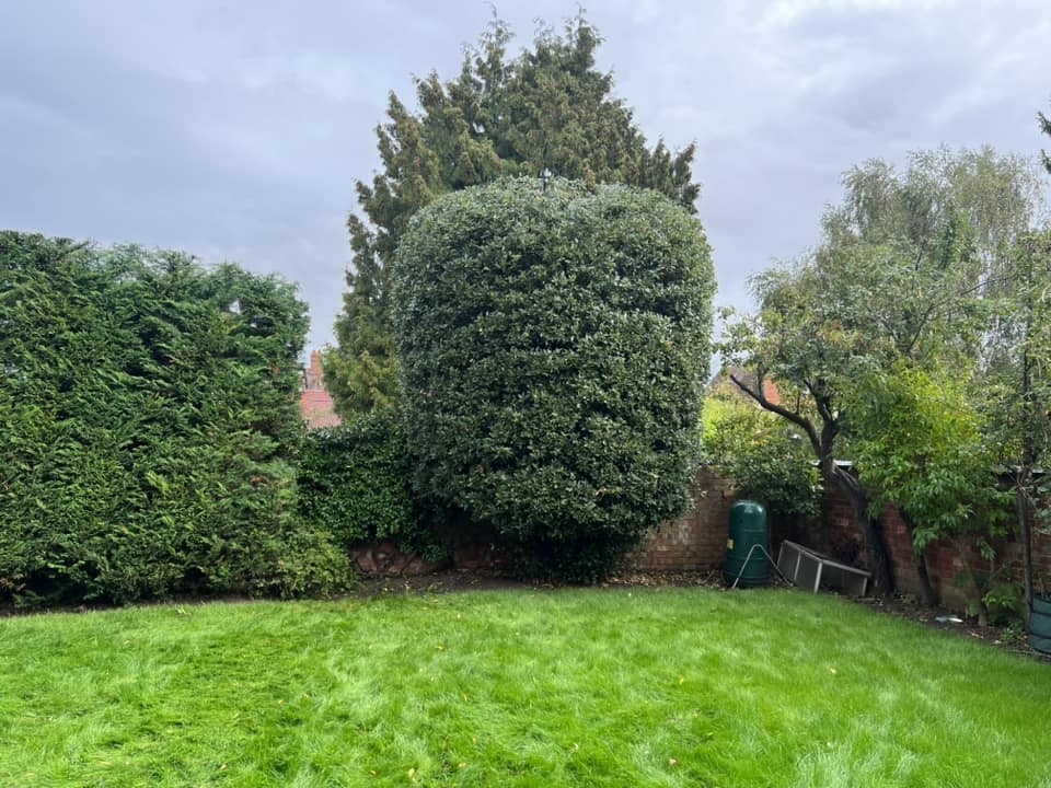 tree-surgeon-wellingborough-09-small