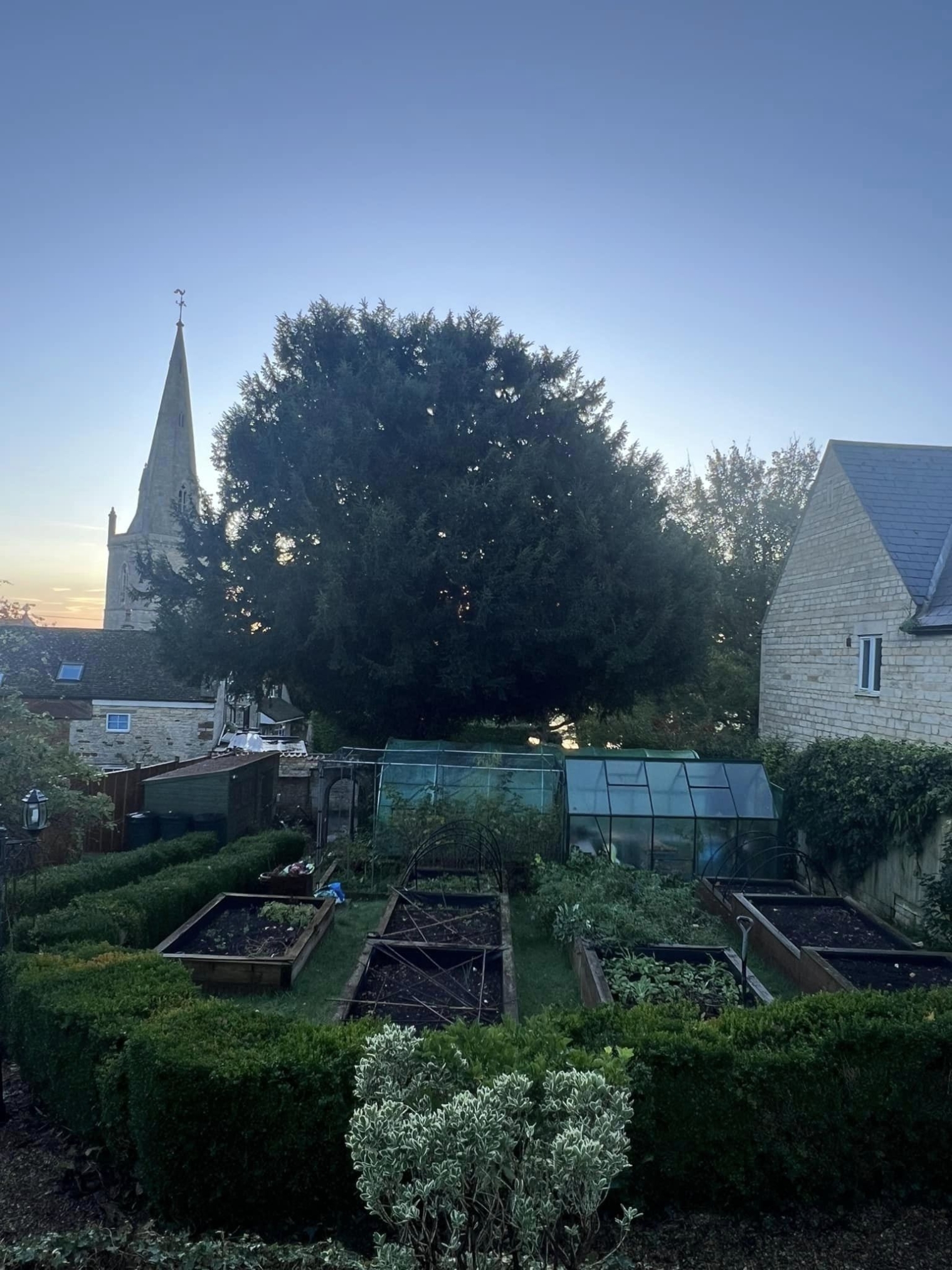 tree-surgeon-wellingborough-13-small