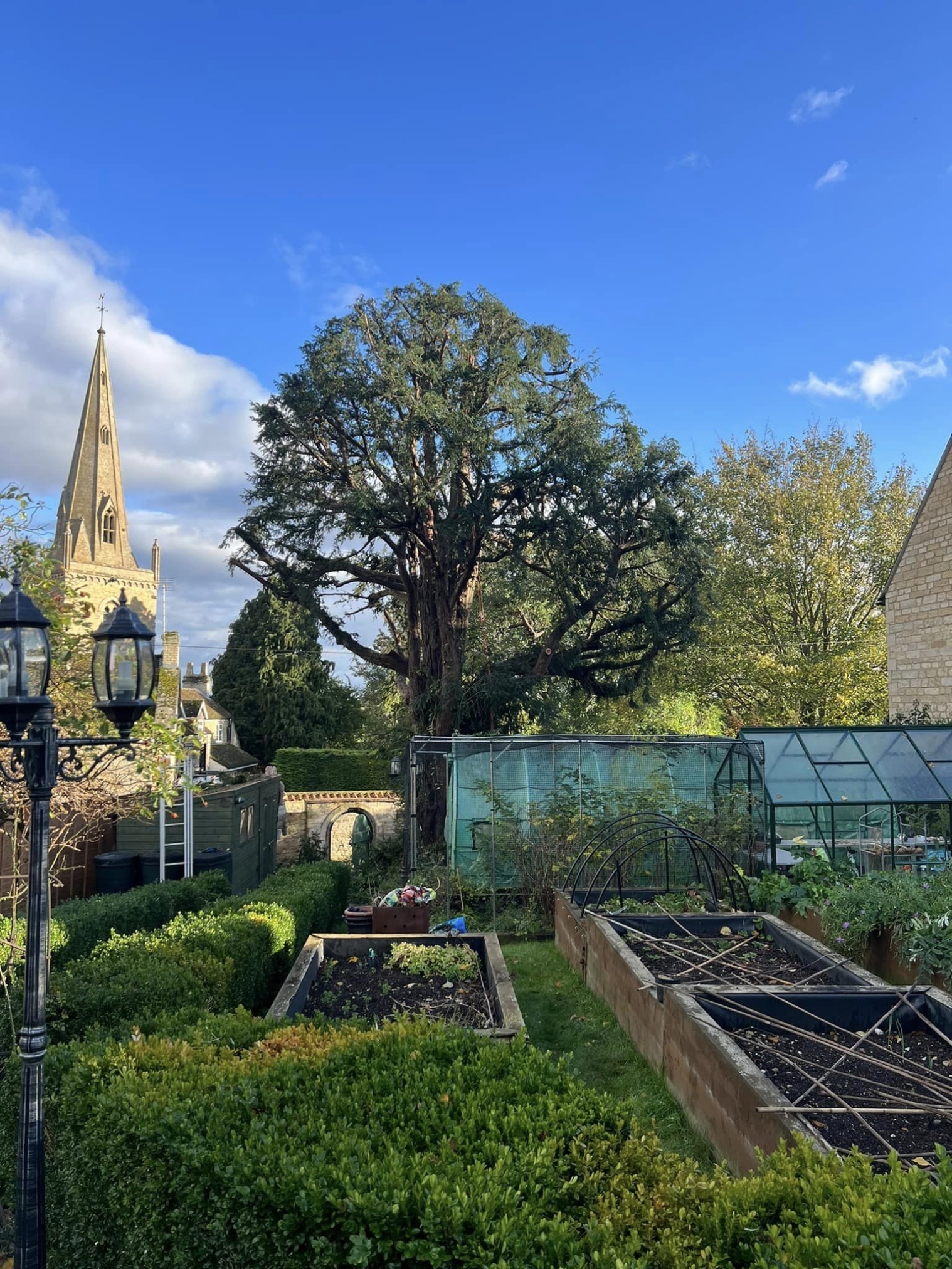 tree-surgeon-wellingborough-14-small