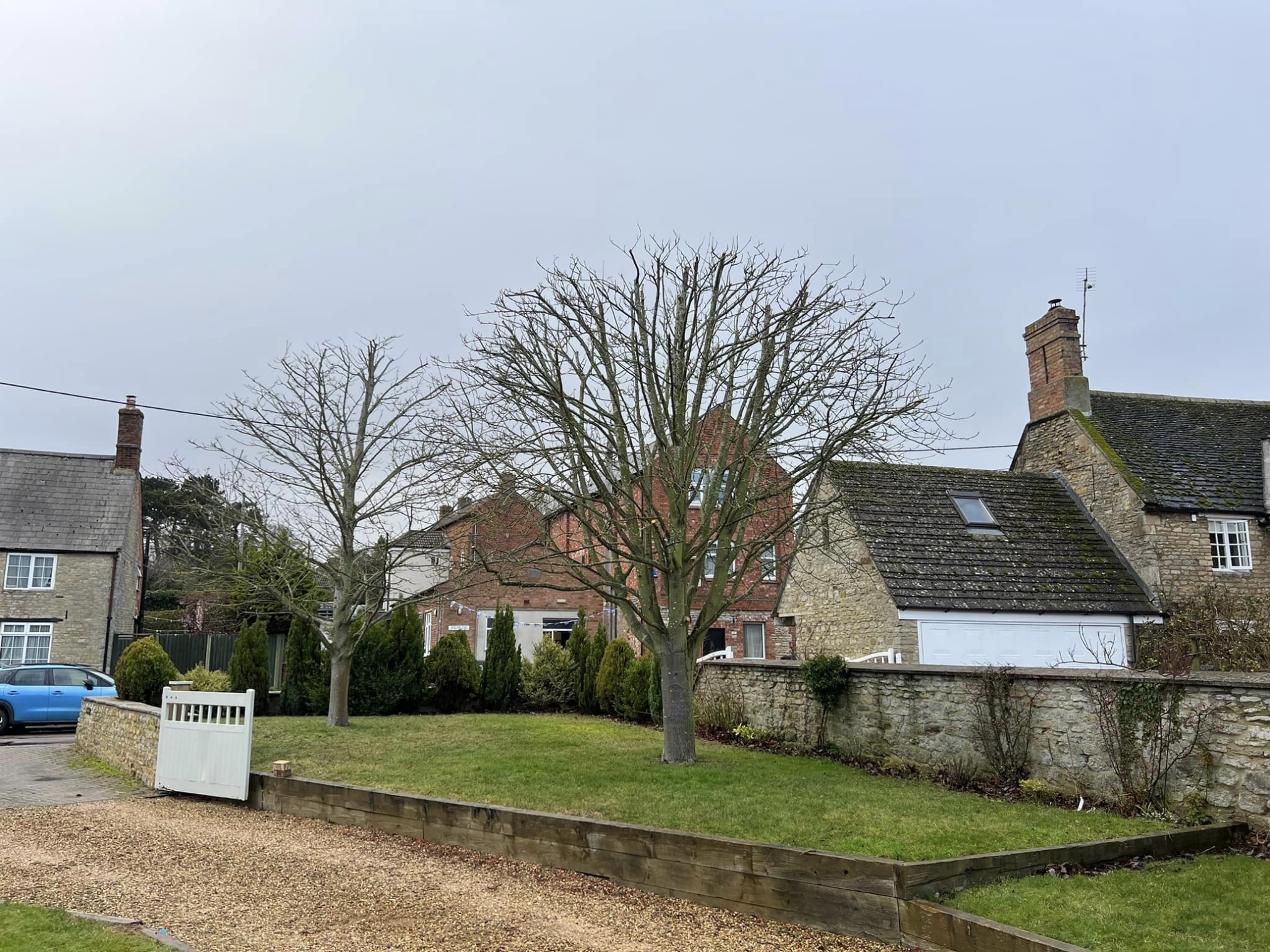 tree-surgeon-wellingborough-20-small