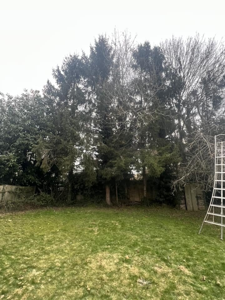 tree-surgeon-wellingborough-21-small