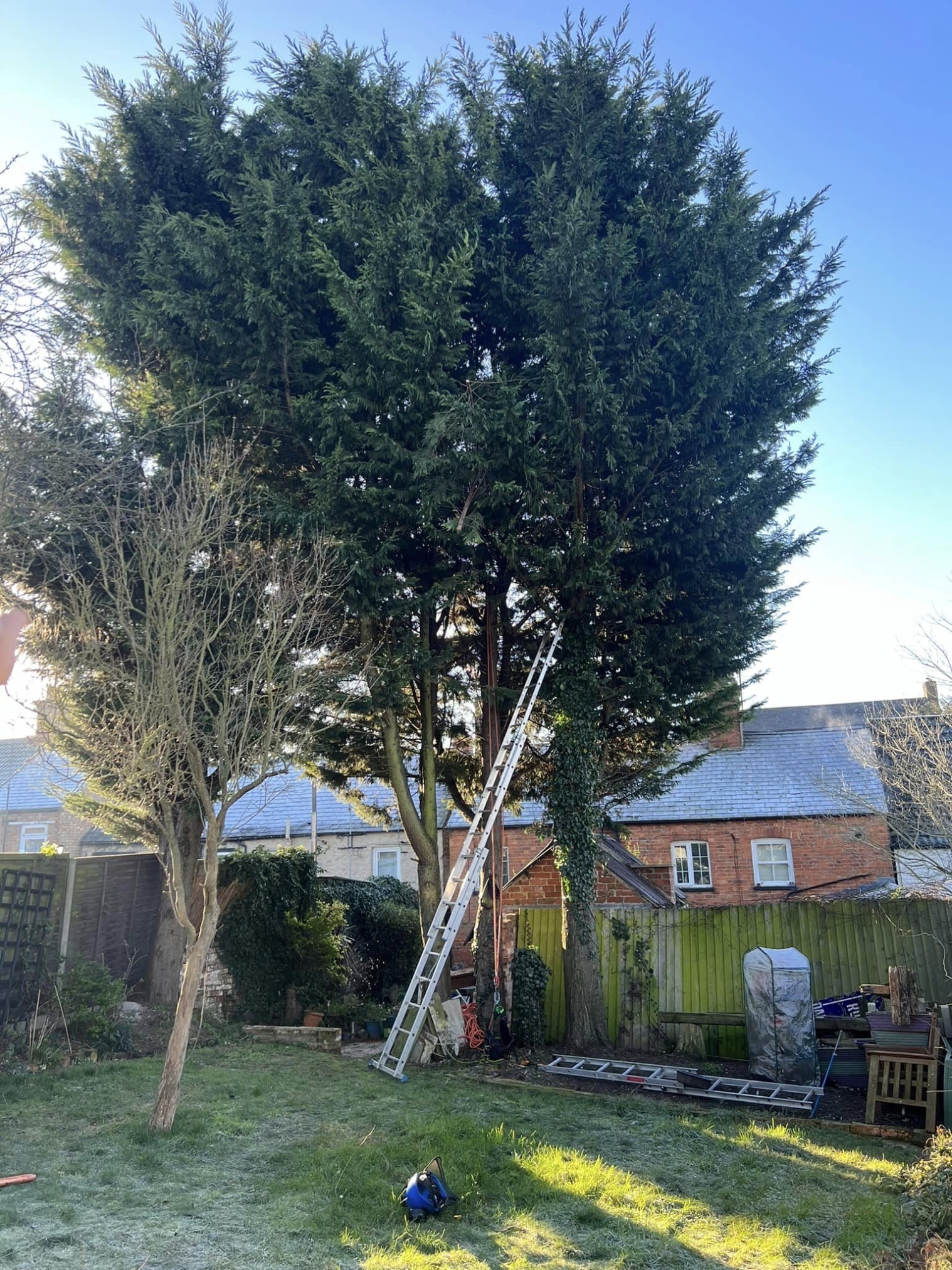 tree-surgeon-wellingborough-23-small