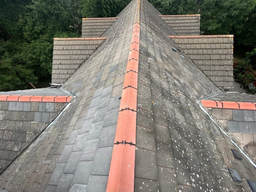 Roofer London Skyline Roofcare 8 Small