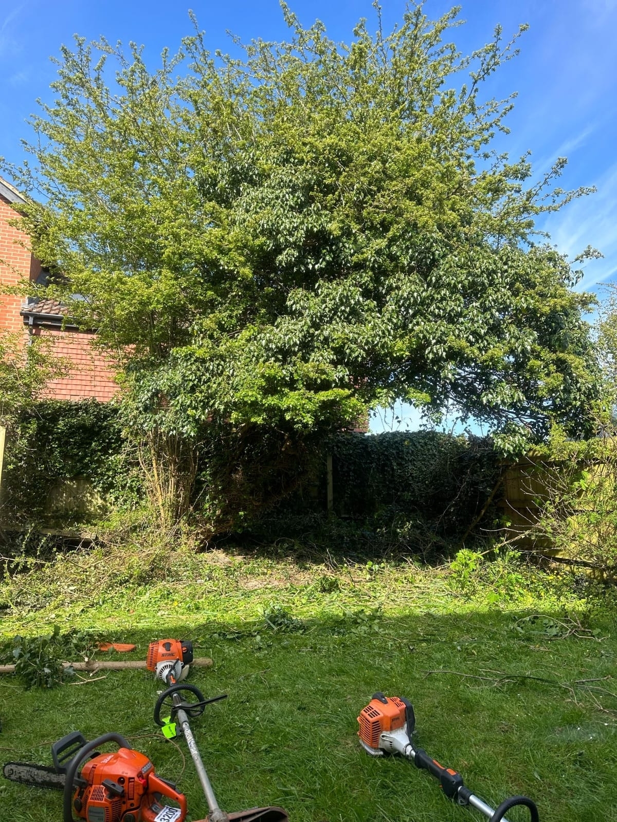 Landscaper Coventry 10 Xlarge