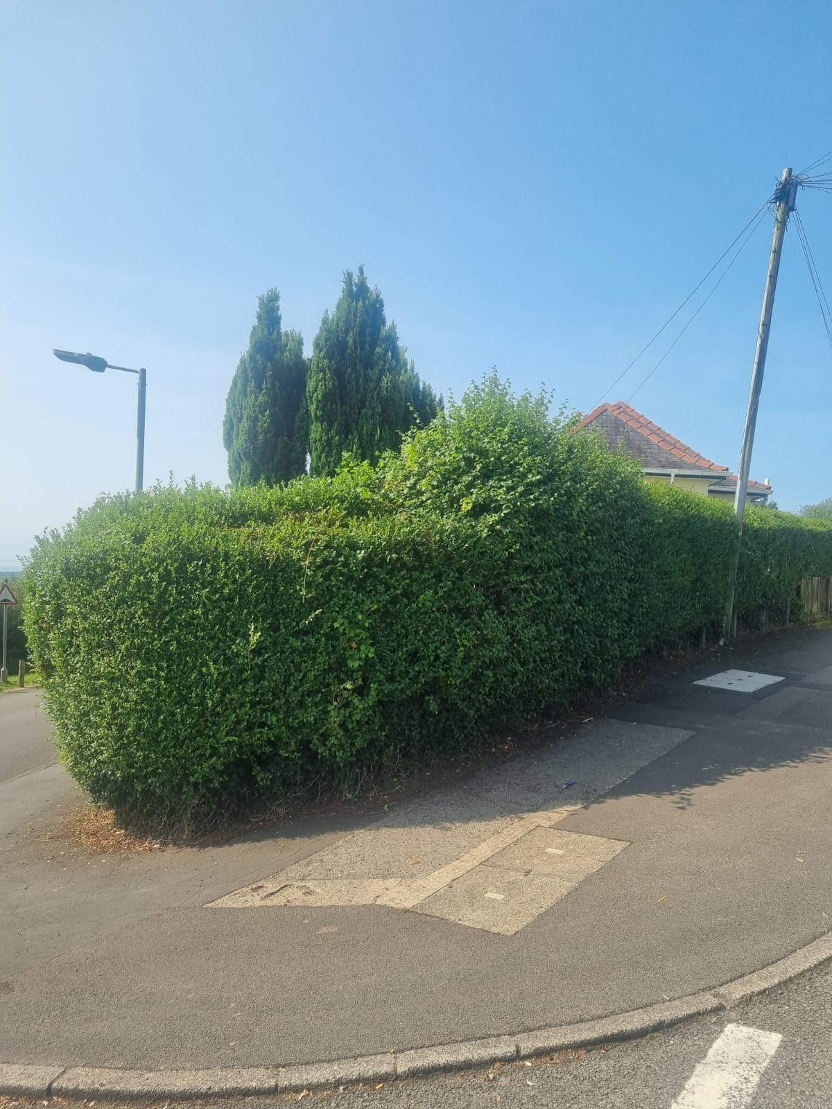 Hedge Trime And Shape Binley Coventry 01 Xlarge