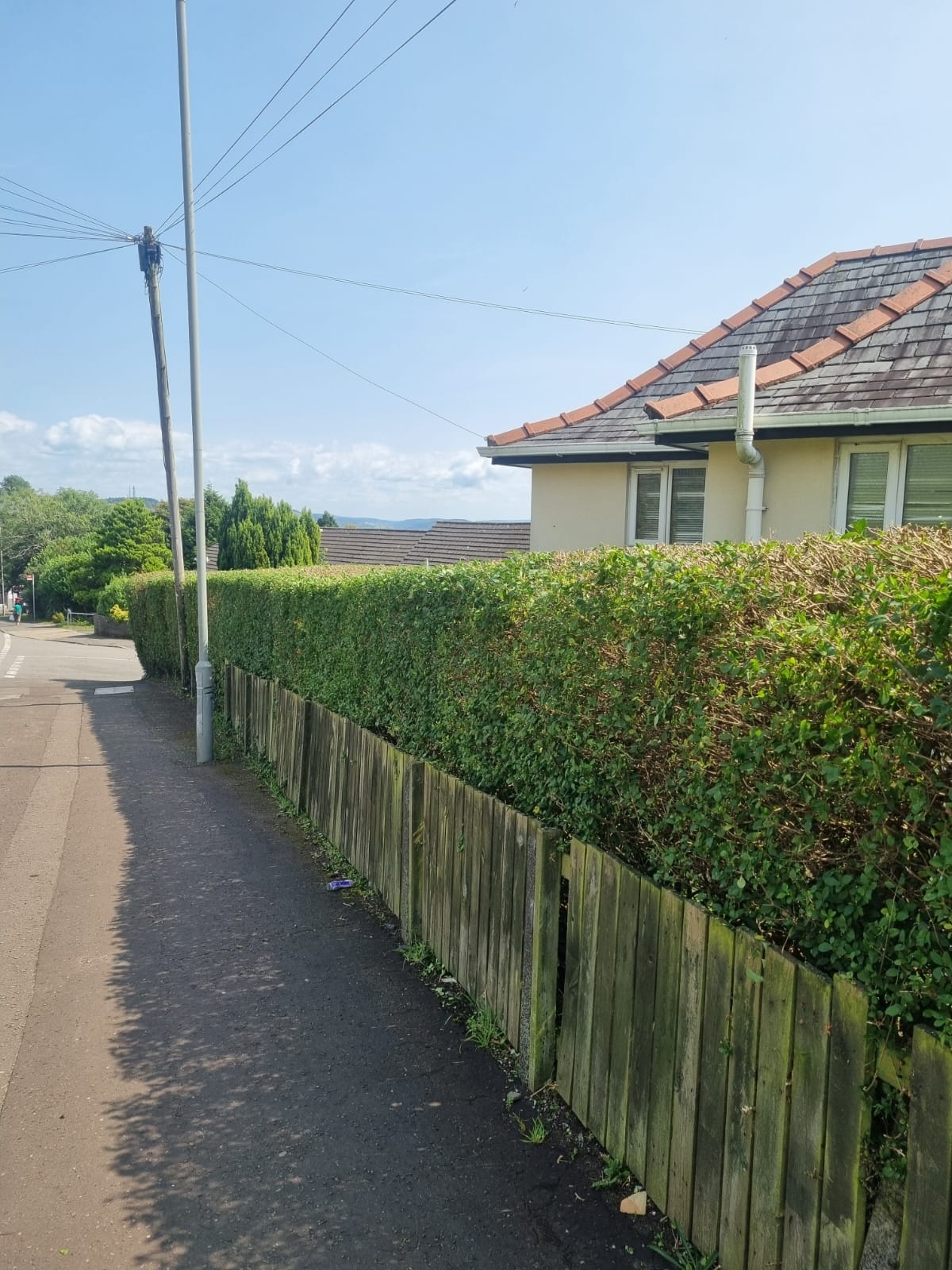 Hedge Trime And Shape Binley Coventry 03 Xlarge