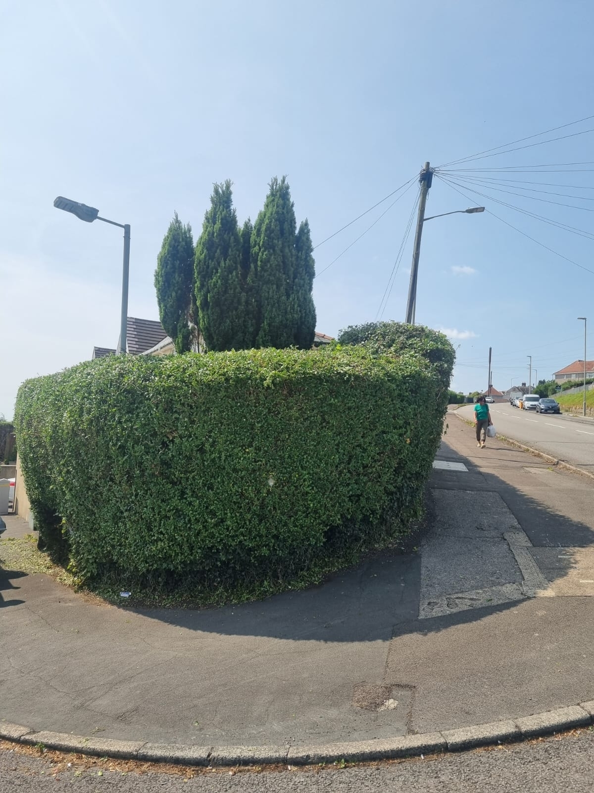 Hedge Trime And Shape Binley Coventry 04 Xlarge
