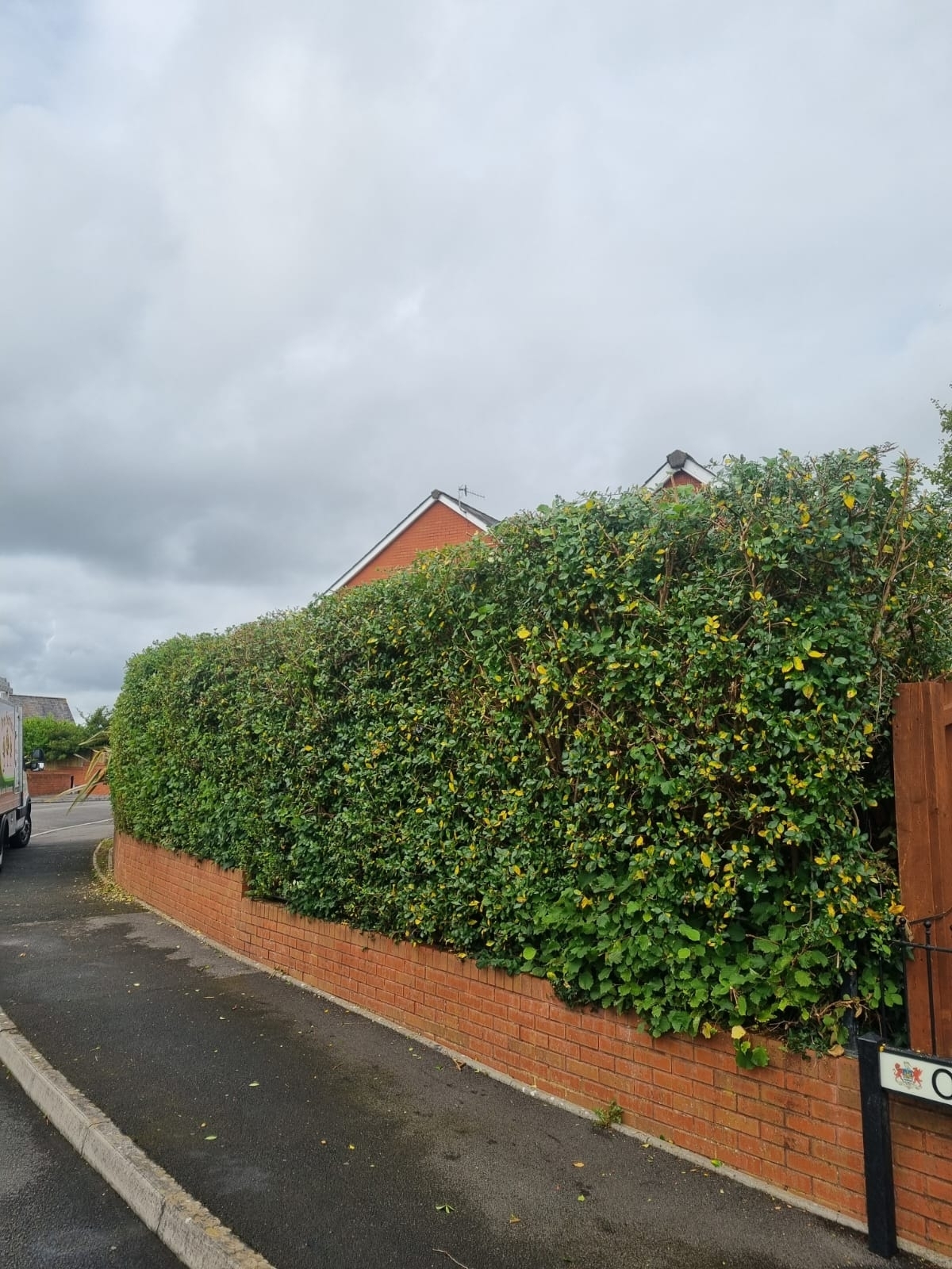 Hedge Trimming And Hight Reduction Cawstonrugby 02 Xlarge