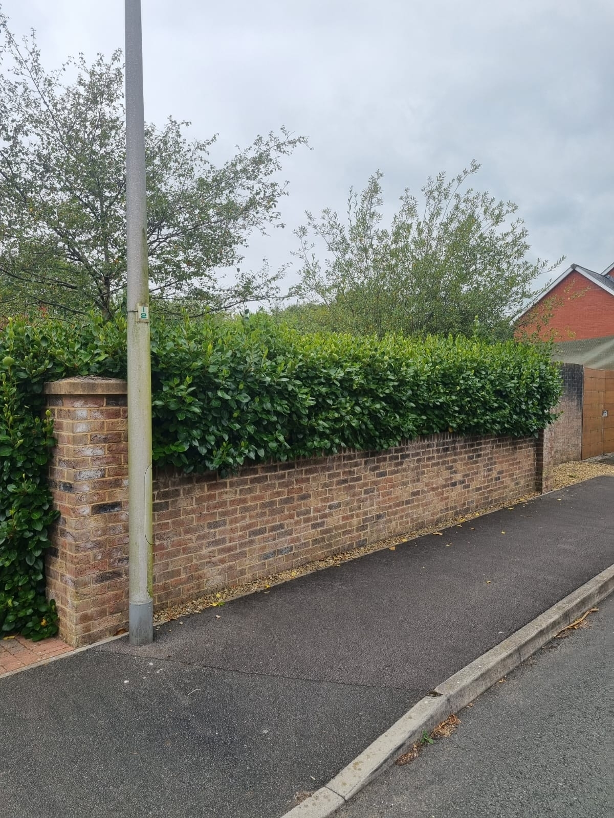 Hedge Trimming Coventry 01 Xlarge