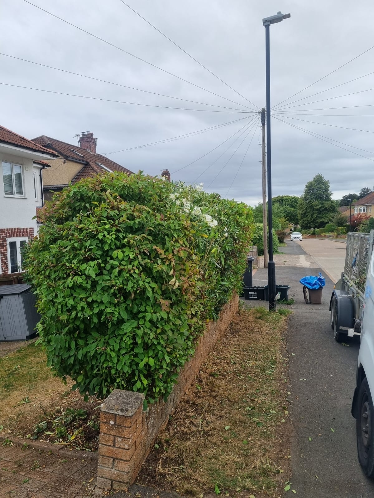 Hedge Trimming Kenilworth 02 Xlarge