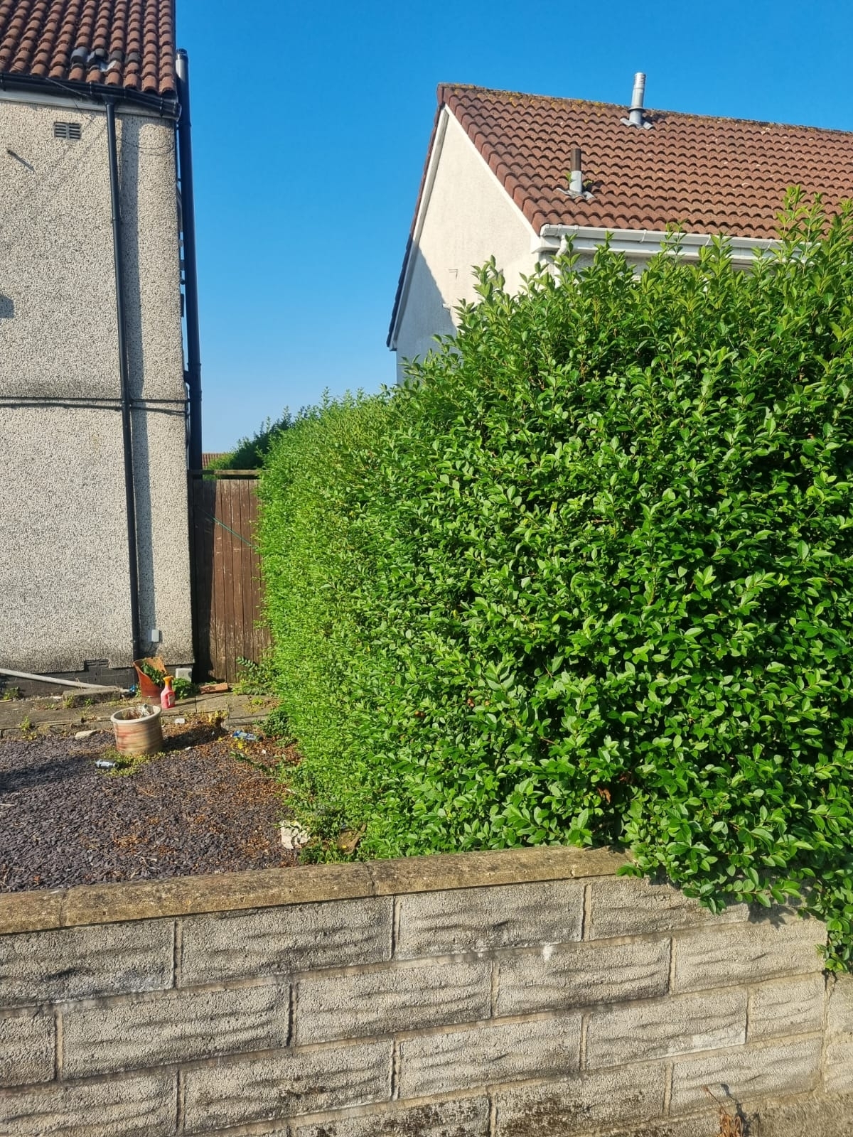 Hedge Trimming Leamington Spa 01 Xlarge