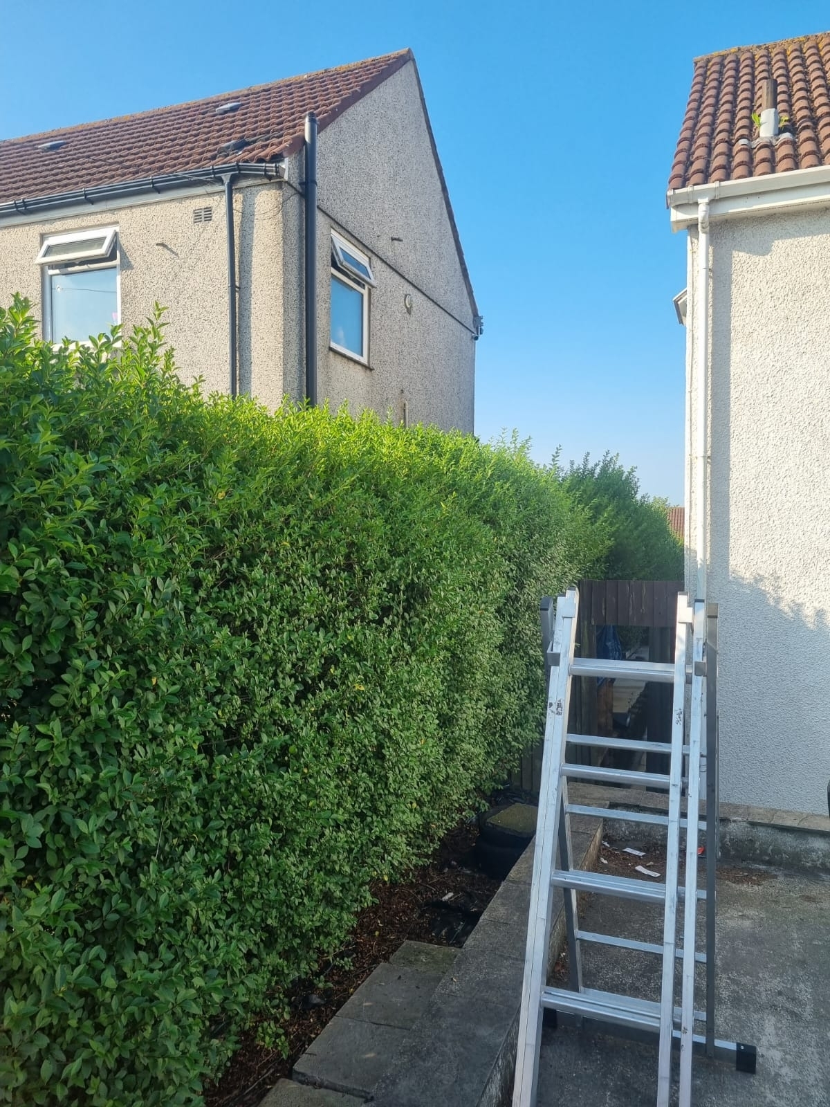 Hedge Trimming Leamington Spa 02 Xlarge