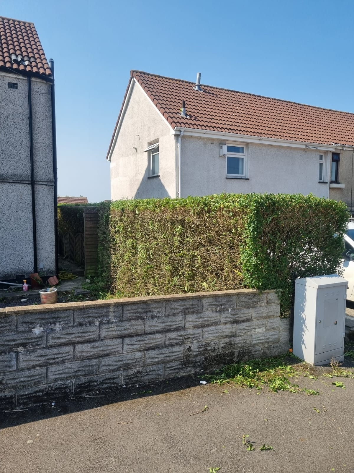 Hedge Trimming Leamington Spa 04 Xlarge