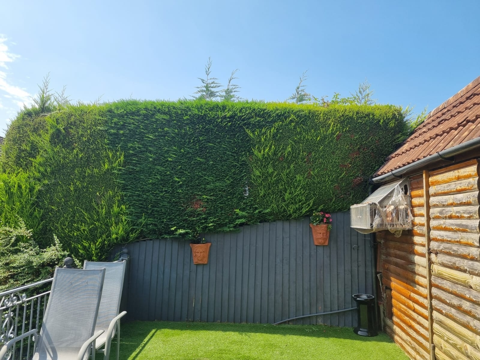 Hedge Trimming Warwick 01 Xlarge