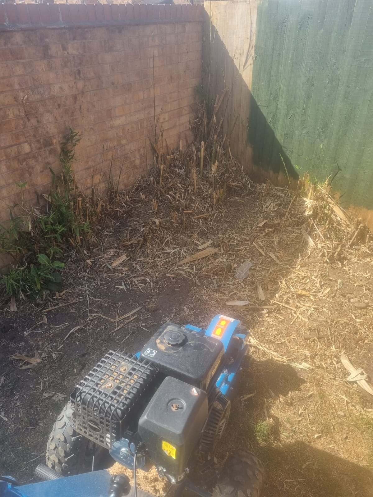 Stump Grinding Nuneaton 01 Xlarge