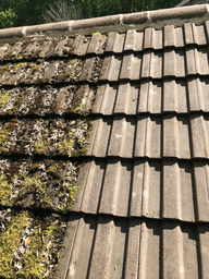 Moss Removal Jw Roofing Co Small