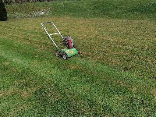 landscaper-luton-7-small