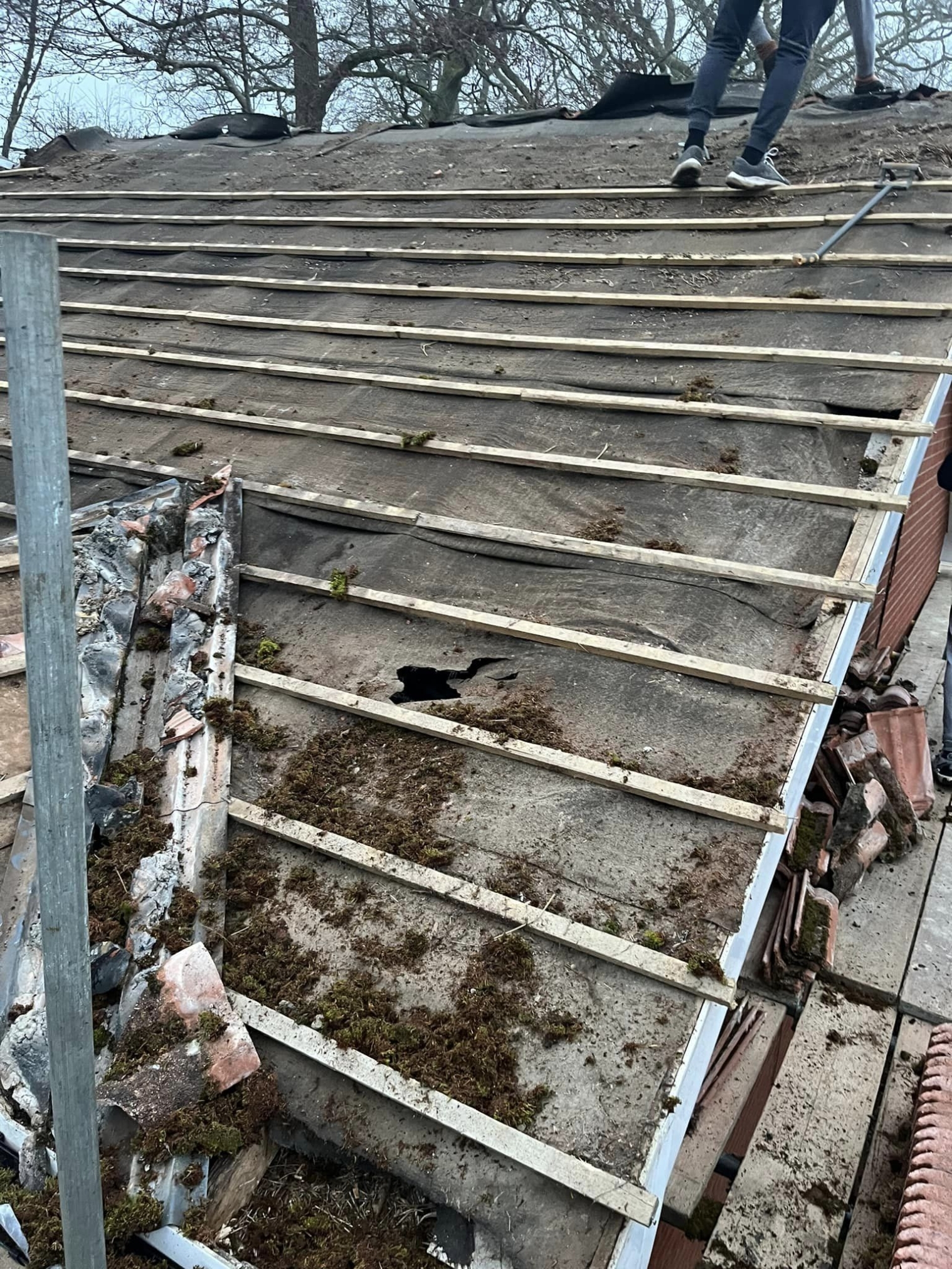 roofer-haslmeare-06-small