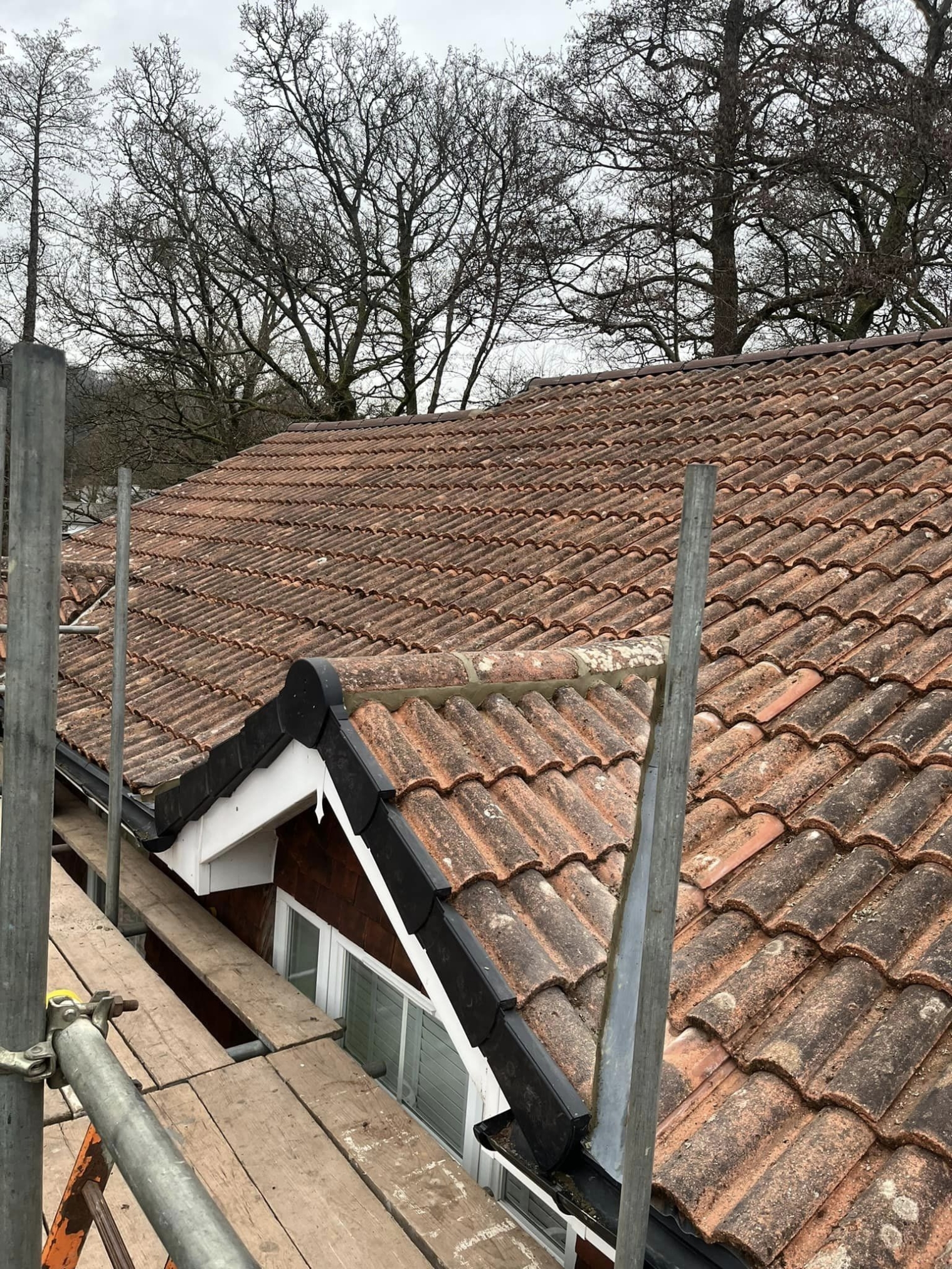 Roofer Haslmeare 09 Xlarge