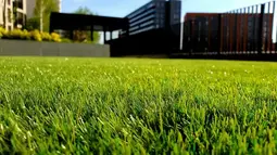 Turfing Company Shropshire Small