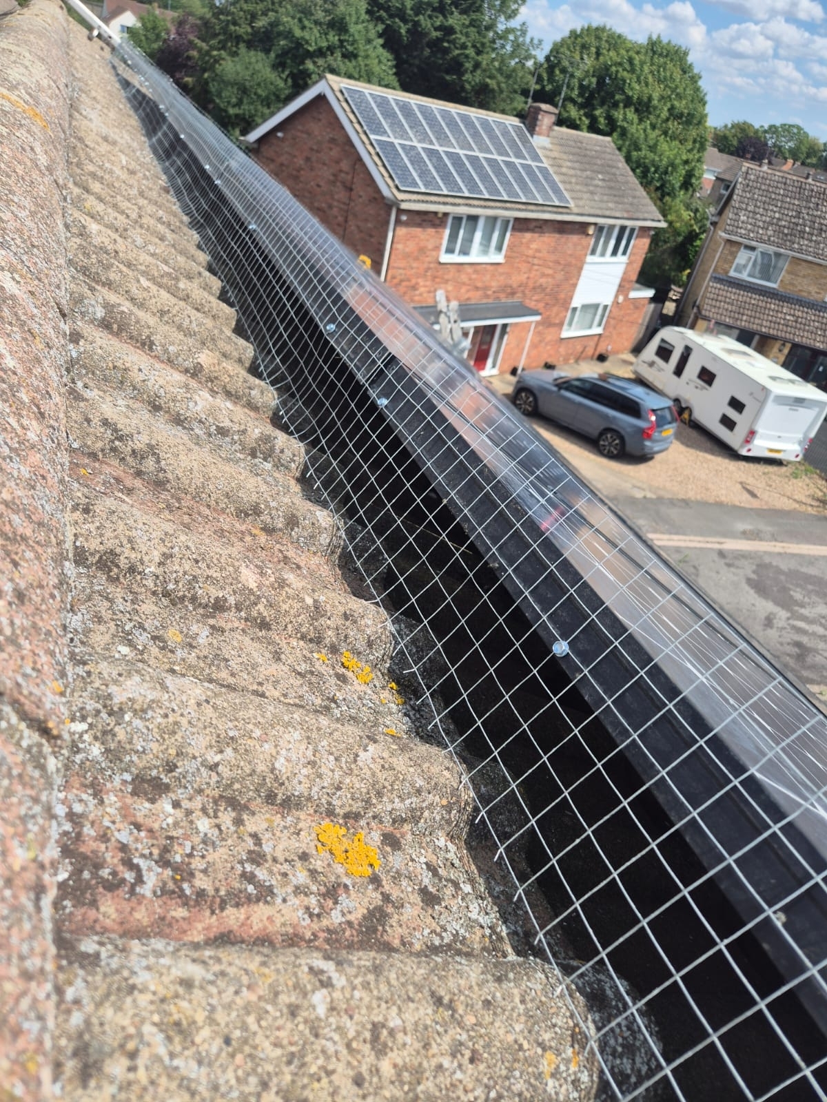 Pigeon Prevention Mesh Fitters Sleaford 6 Xlarge