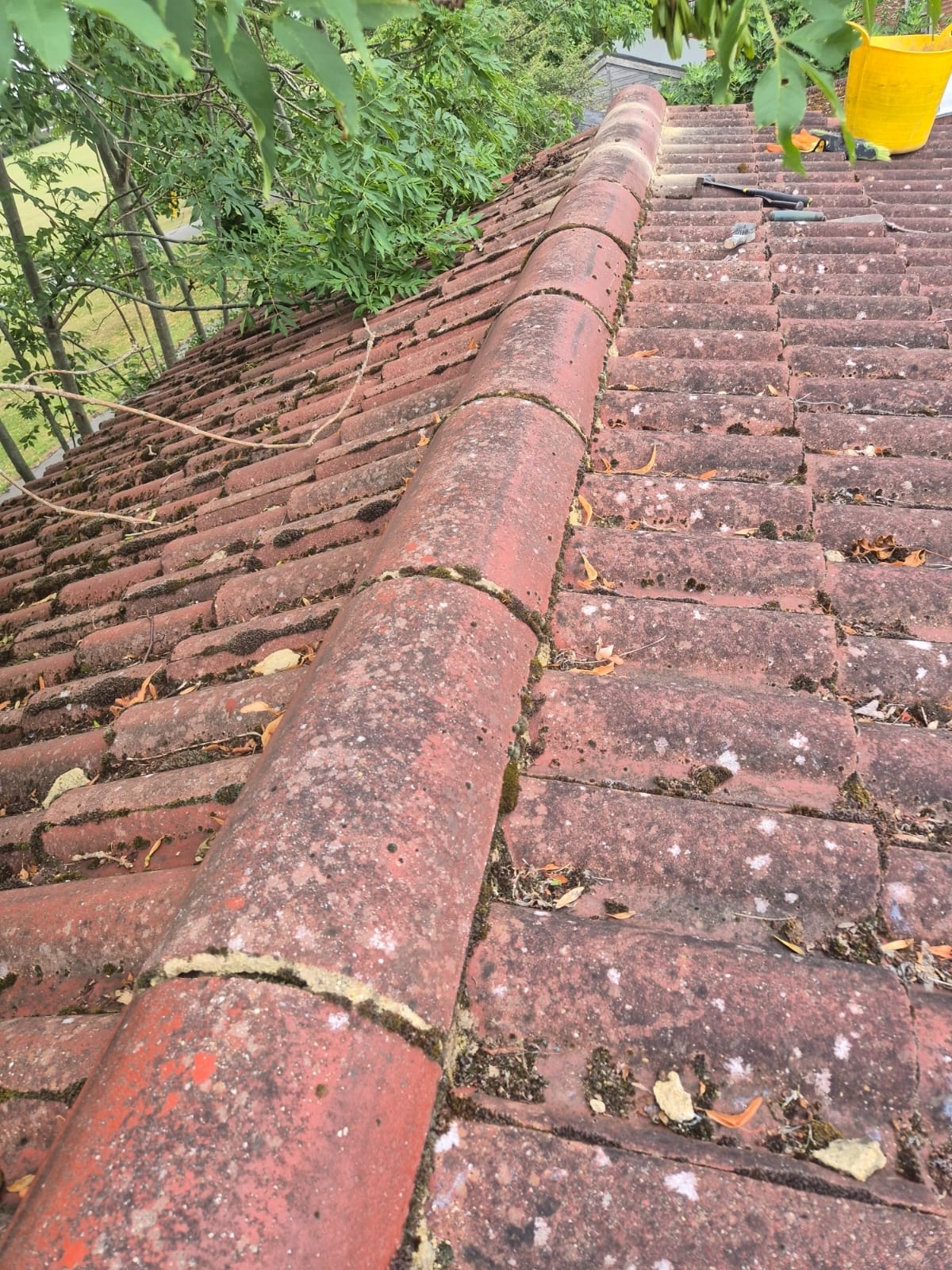 Roof Maintenance London Dl Home Care 01 Xlarge