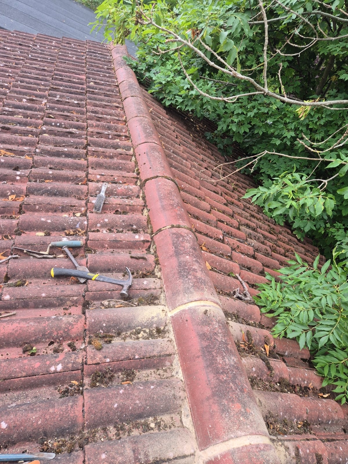 Roof Maintenance London Dl Home Care 02 Xlarge