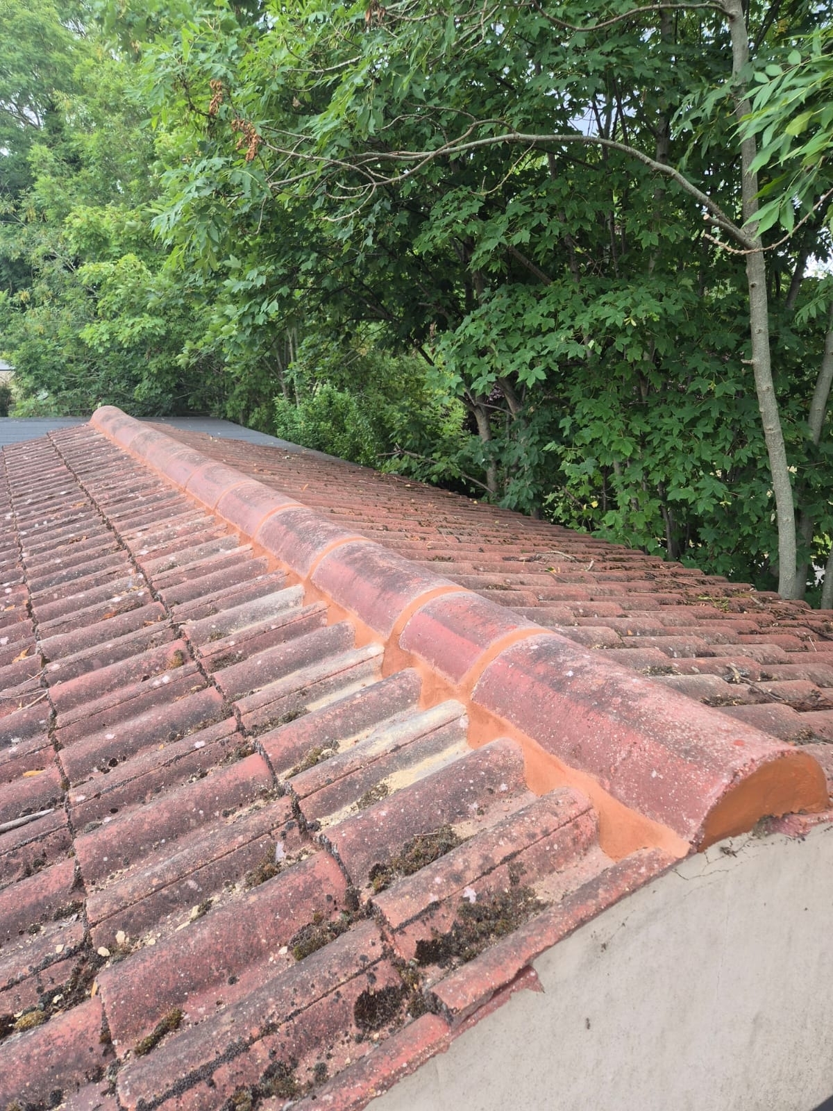 Roof Maintenance London Dl Home Care 07 Xlarge