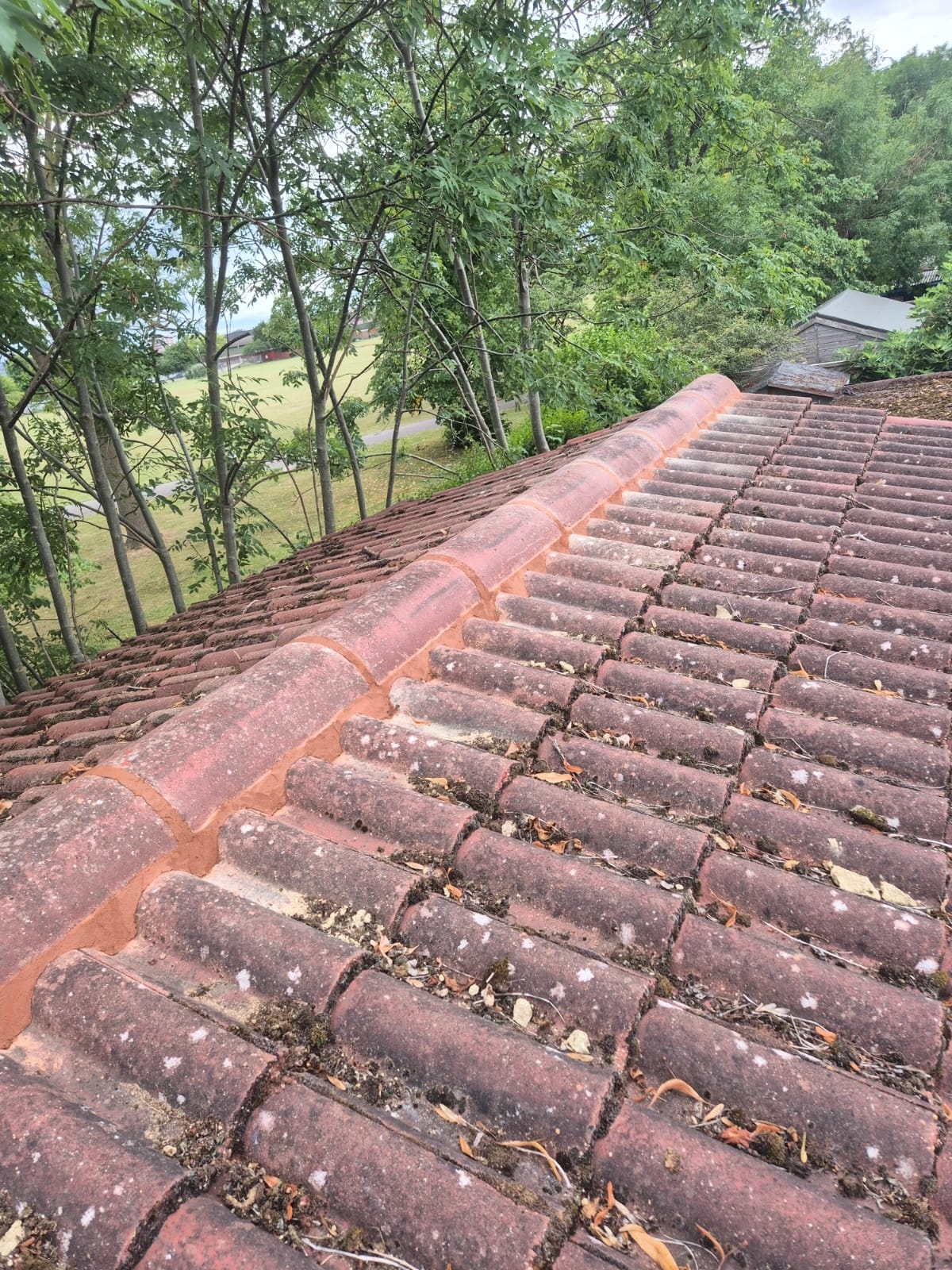 Roof Maintenance London Dl Home Care 08 Xlarge