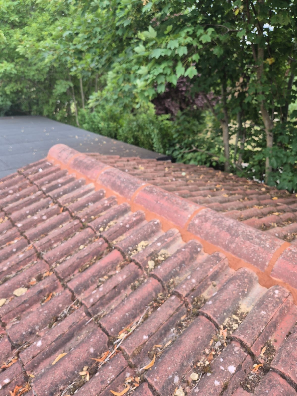 Roof Maintenance London Dl Home Care 09 Xlarge