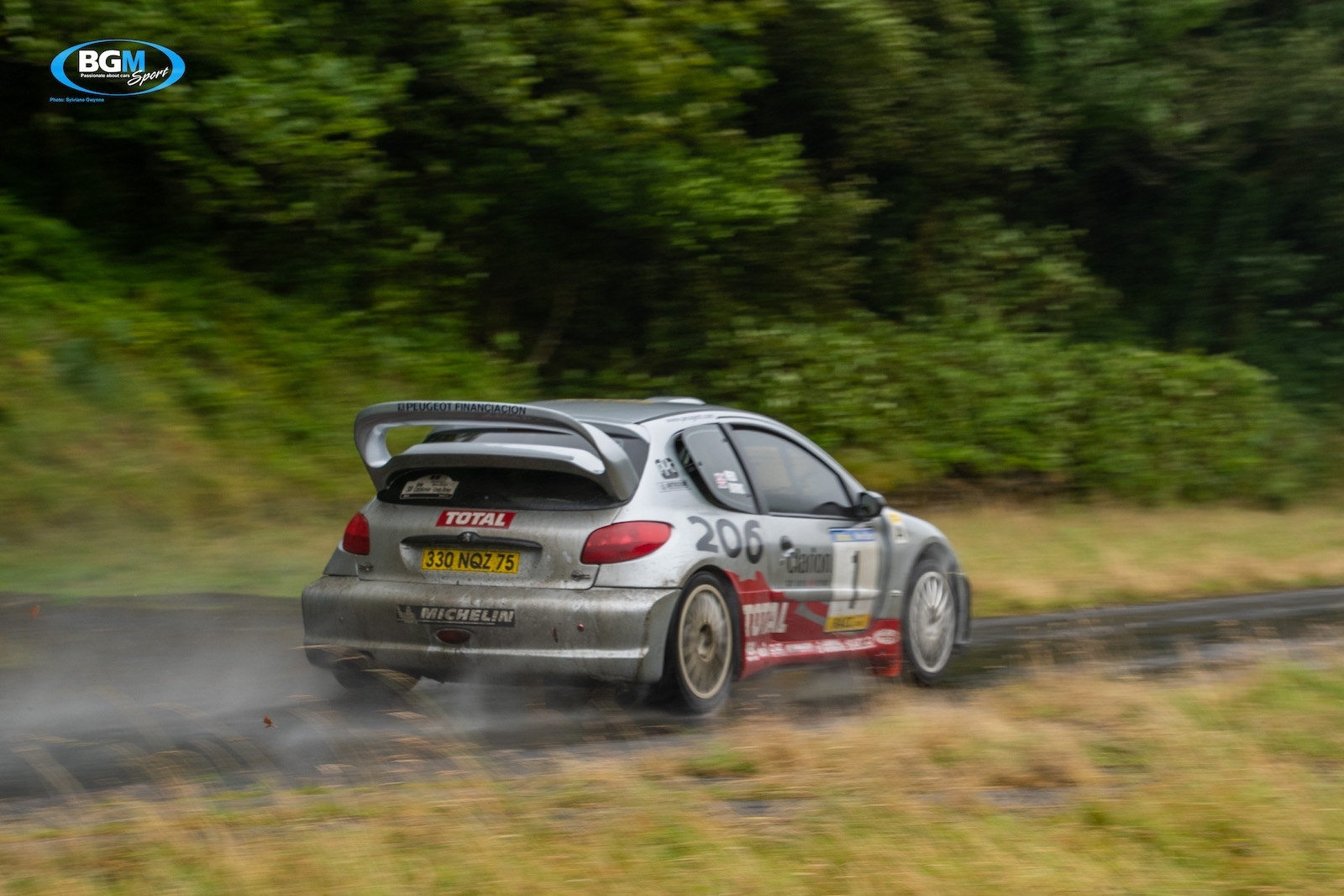 richard-burns-2002-peugeot-206-wrc-car-25-small