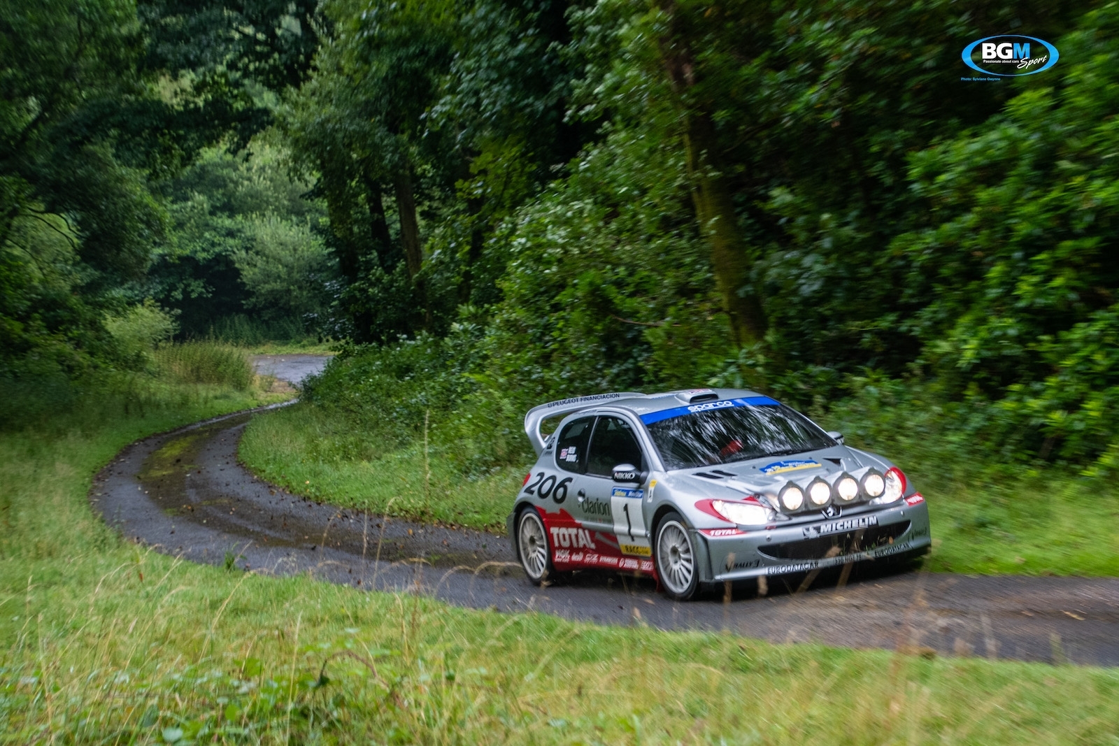 richard-burns-2002-peugeot-206-wrc-car-40-small