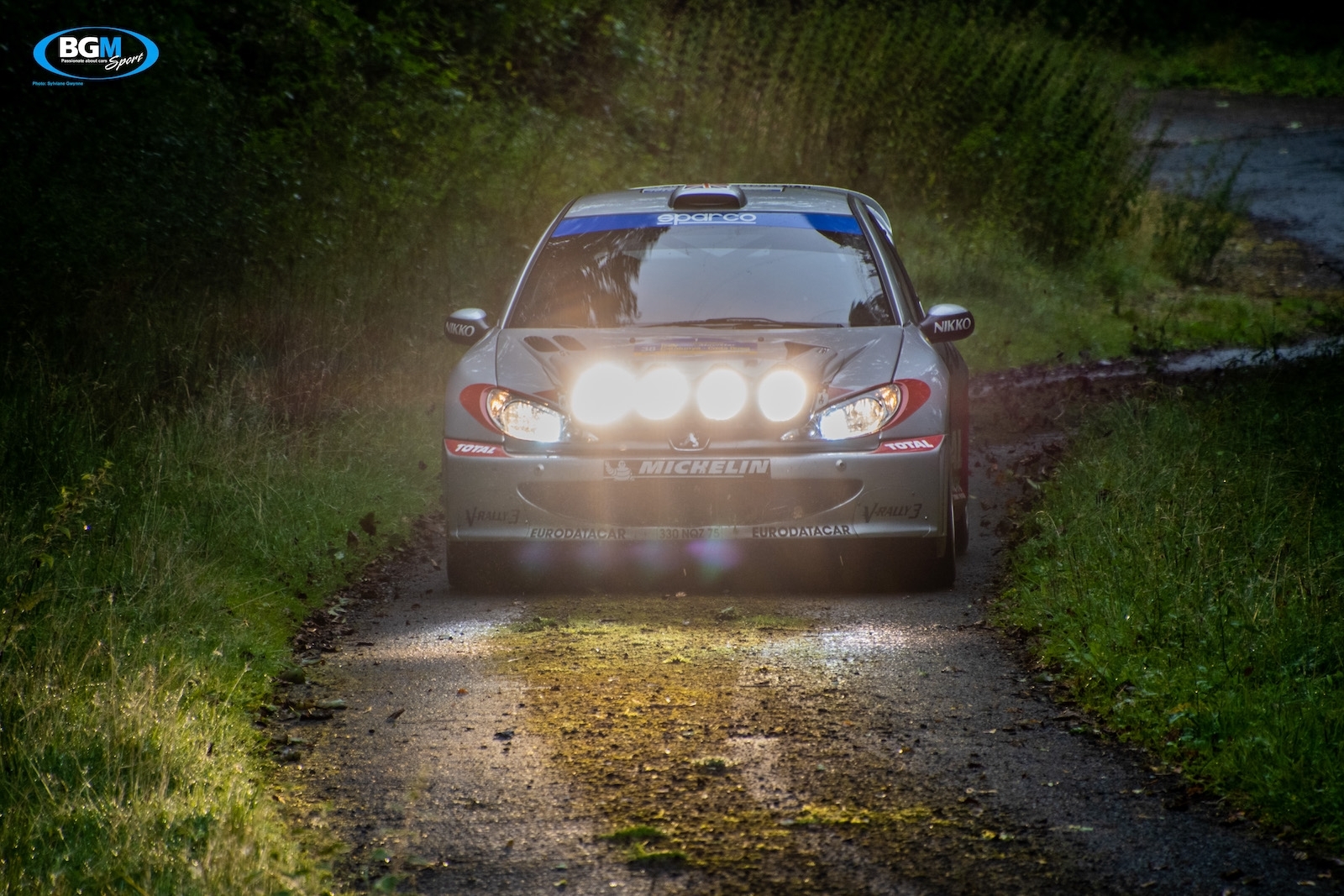 richard-burns-2002-peugeot-206-wrc-car-43-small