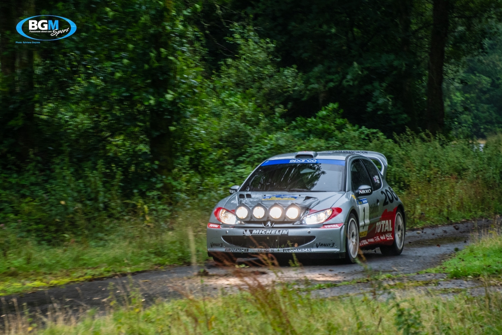 richard-burns-2002-peugeot-206-wrc-car-50-small