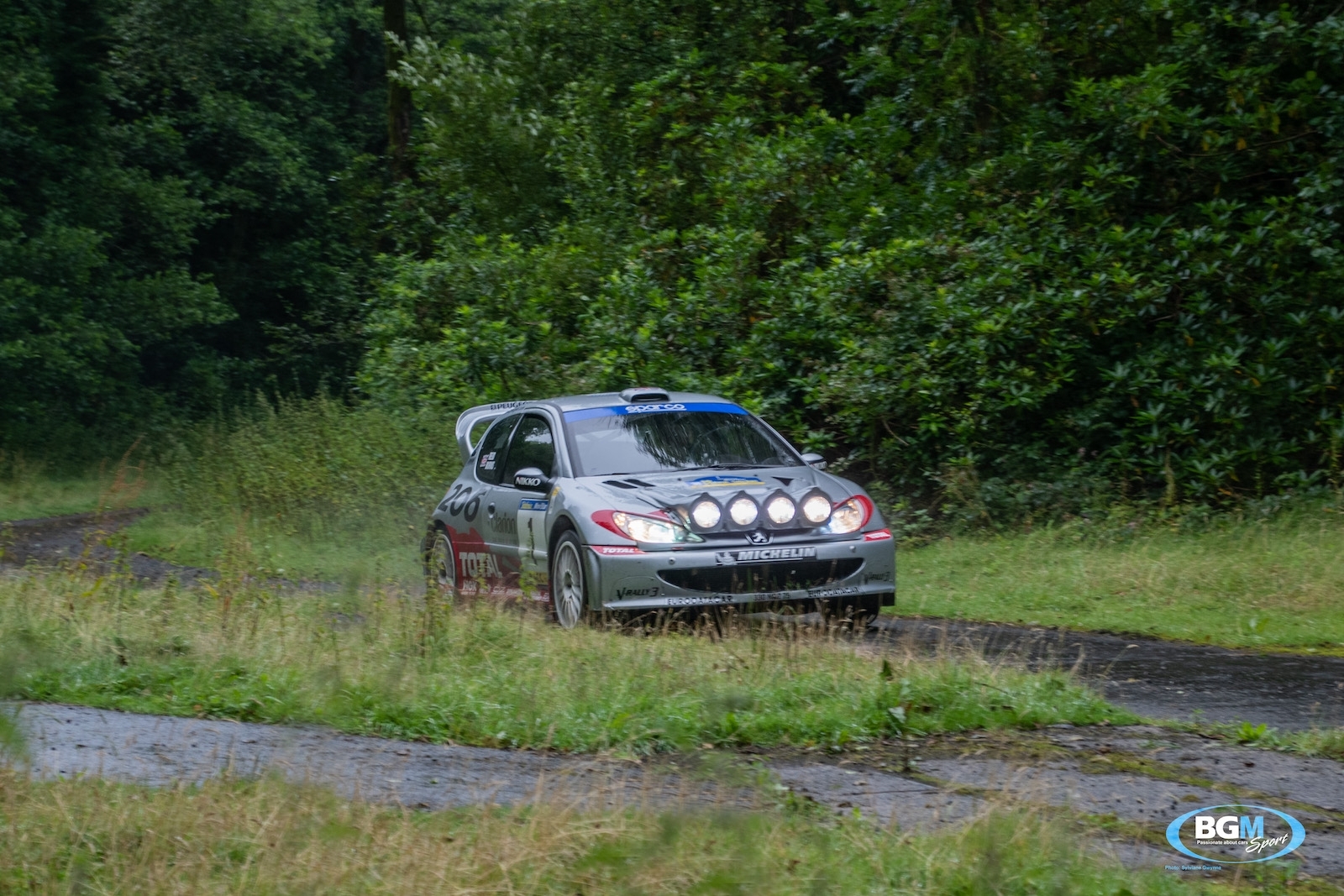 richard-burns-2002-peugeot-206-wrc-car-53-small