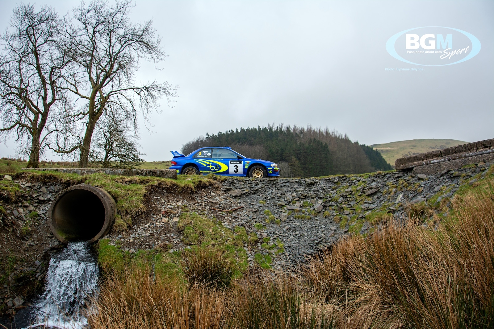 richard-burns-rally-gb-winner-6-small